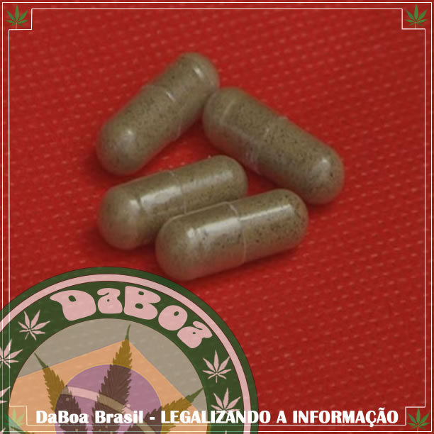 Maconha para os animais de estimação já é uma realidade