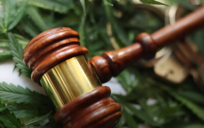 EUA: autoridades de Minnesota eliminam quase 60.000 condenações por maconha