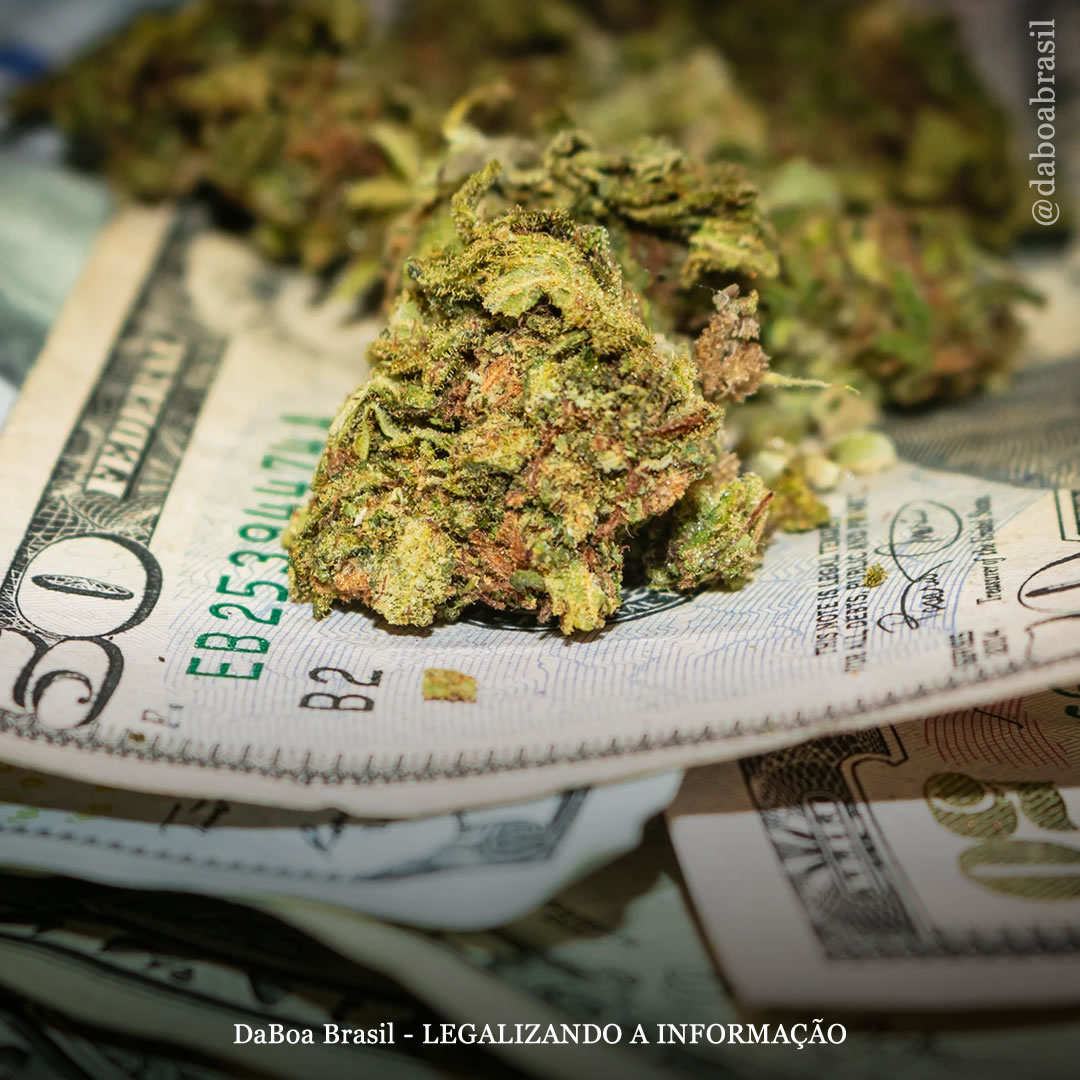 Colorado bate novo recorde e vende US $ 200 milhões em maconha no mês julho