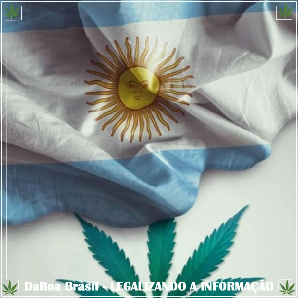 63% dos argentinos são a favor da legalização da maconha