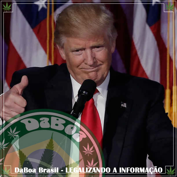 A Administração Trump pode excluir o Gabinete de Política Nacional de Controle de Drogas