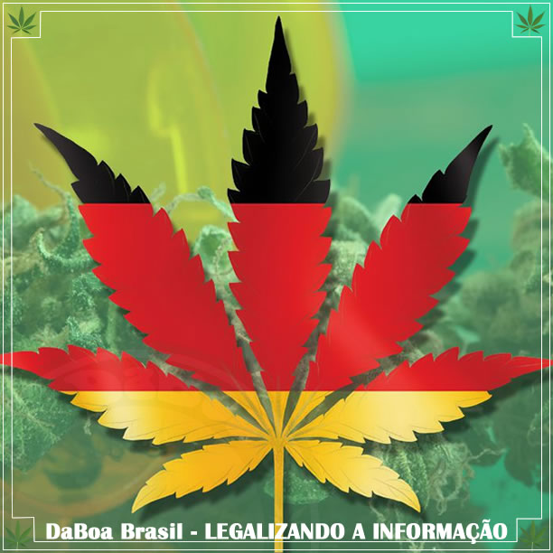 Alemanha vai cultivar maconha medicinal até o final de 2020