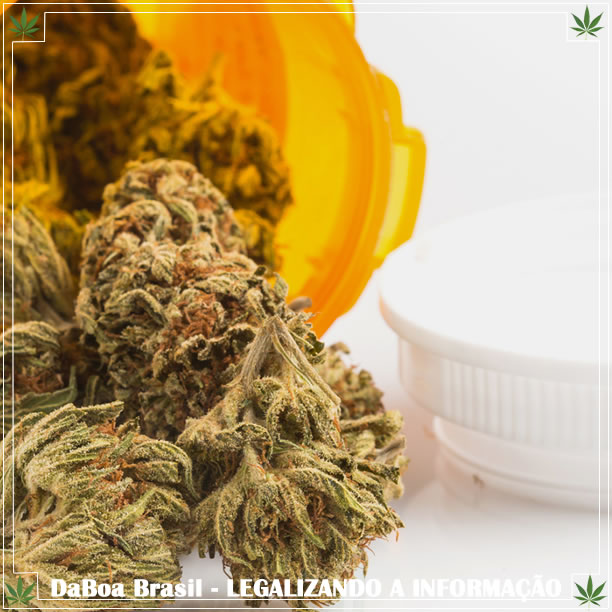 Arkansas vendeu US $ 21 milhões em maconha em 6 meses