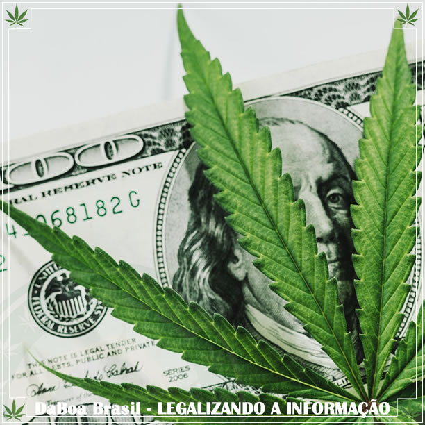 Arkansas vendeu US $ 40 milhões em maconha em 10 meses