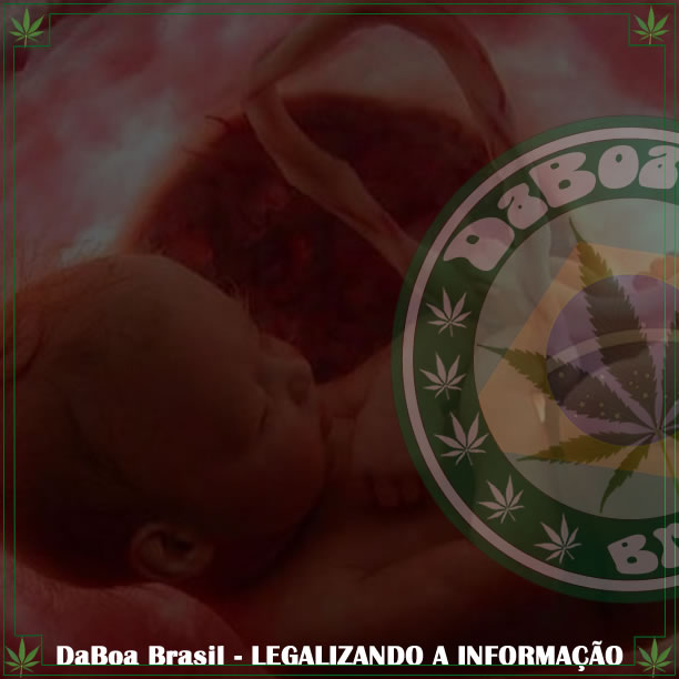 Bebês expostos à maconha possuem melhor visão aos 4 anos