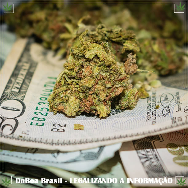 Califórnia arrecadou US $ 134 milhões em impostos sobre a maconha no primeiro trimestre