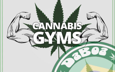 É criada a primeira academia que permite fumar maconha