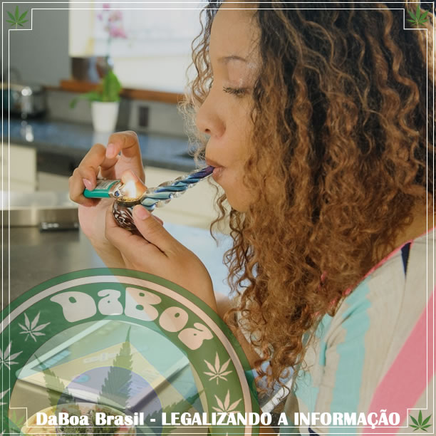 Consumo problemático não aumenta após legalizar a maconha medicinal diz estudo