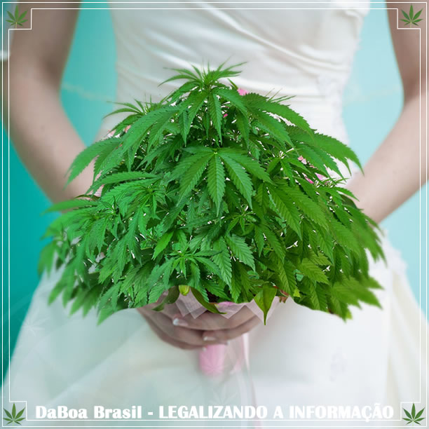 Dispensário no Arizona celebra um casamento canábico