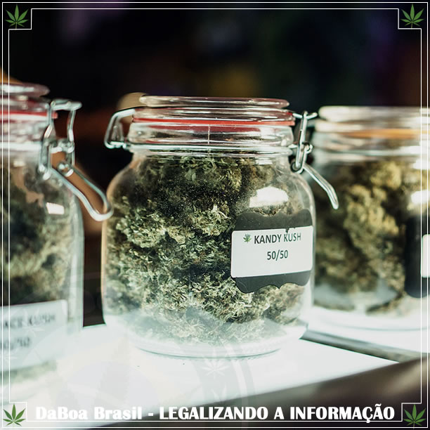 Dispensários de maconha considerados “essenciais” durante fechamento por coronavírus