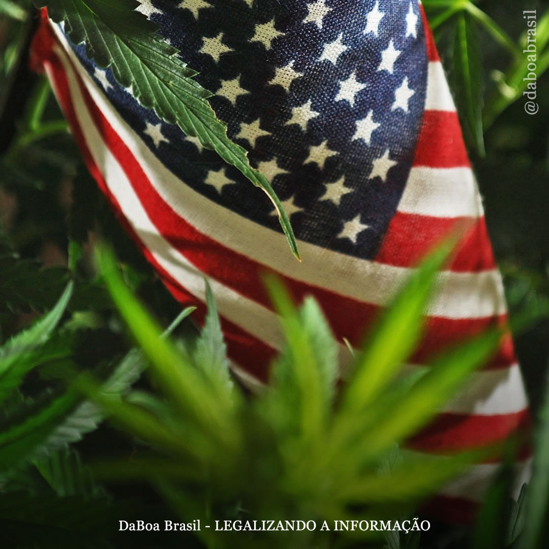 EUA votará a legalização da maconha em nível federal em setembro