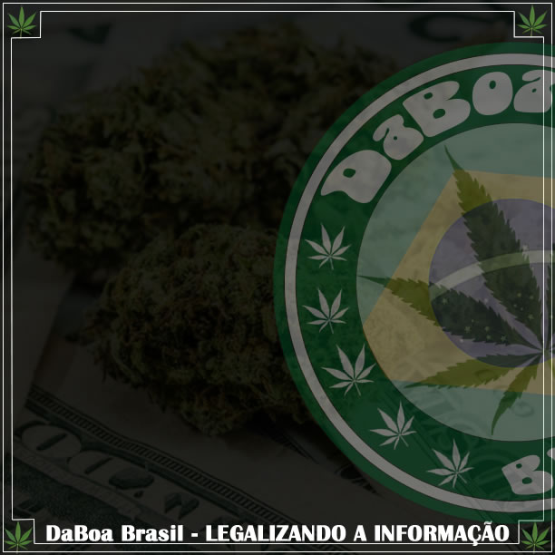 Como a legalização da maconha pode beneficiar vários setores da economia
