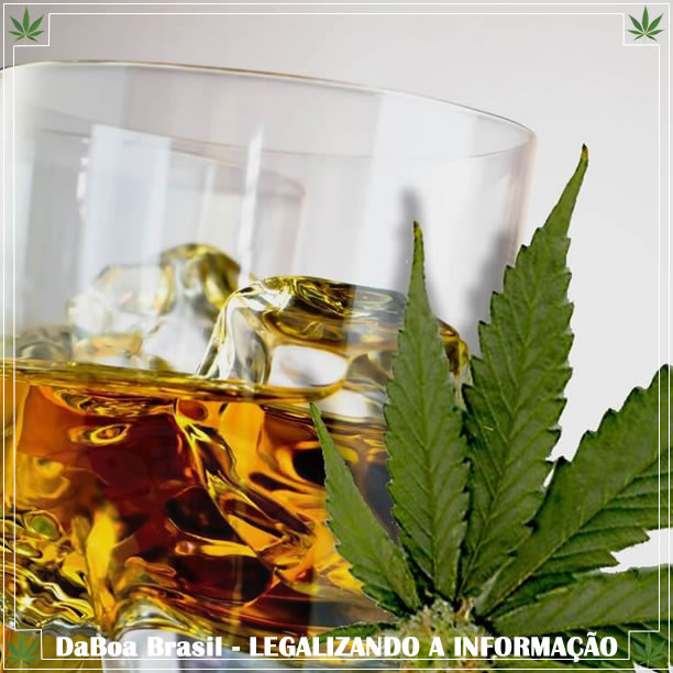 Embriaguez diminui entre os jovens onde a maconha é legal, diz estudo