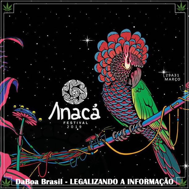 Festival Anacã 2019 contará com palestra sobre o uso terapêutico da cannabis