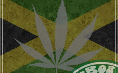 Na Jamaica será possível comprar maconha dentro do aeroporto