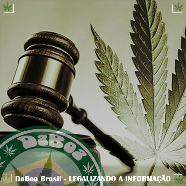 Justiça absolve publicitário preso com 21 pés de maconha