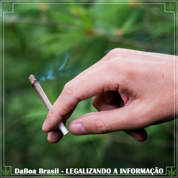Lei mais restritiva gera maior probabilidade de uso de maconha entre adolescentes, diz estudo
