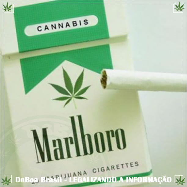 Marlboro vai investir US $ 1,8 bilhão em companhia de maconha