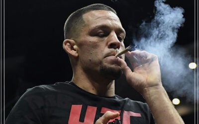 Metade dos lutadores de MMA usam maconha, diz pesquisa