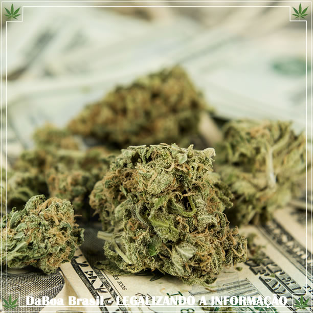 Michigan vendeu US $ 3 milhões em maconha legal nas duas primeiras semanas