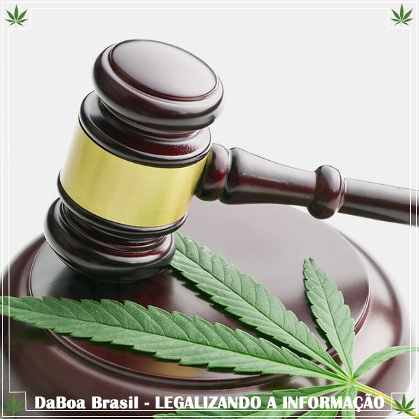 Na Alemanha, juiz questiona legalidade da proibição da maconha