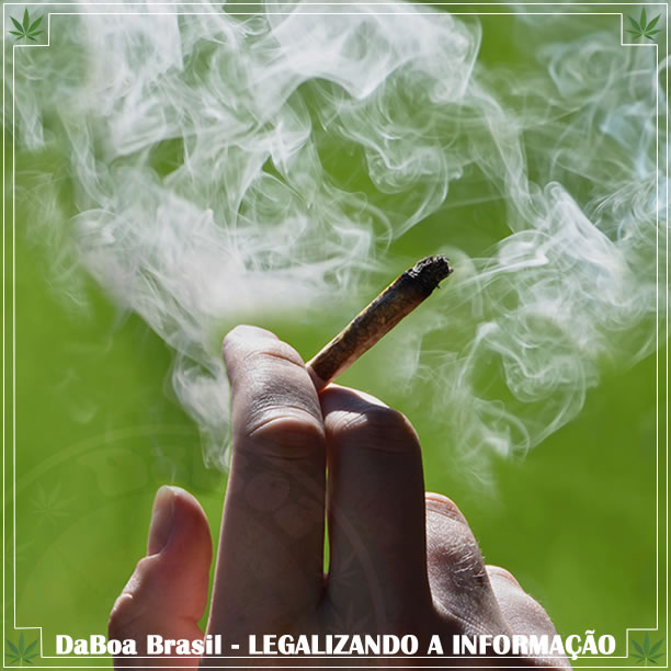 Novo estudo garante que fumar maconha não te deixa “idiota”