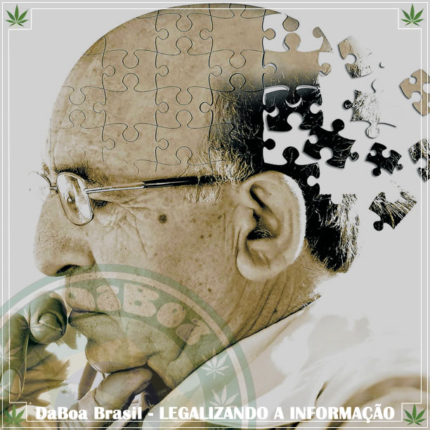 Os canabinóides podem tratar a doença de Alzheimer, diz novo estudo
