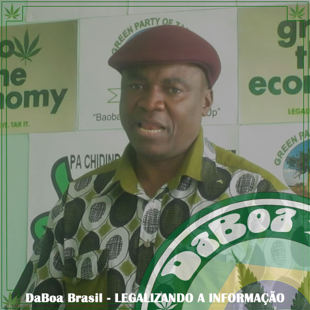 Partido Verde da Zâmbia traduz o valor da maconha medicinal nas línguas locais