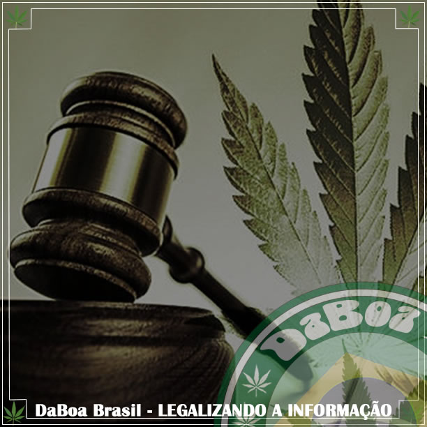 Descriminalização das drogas volta a ser discutida no STF neste semestre