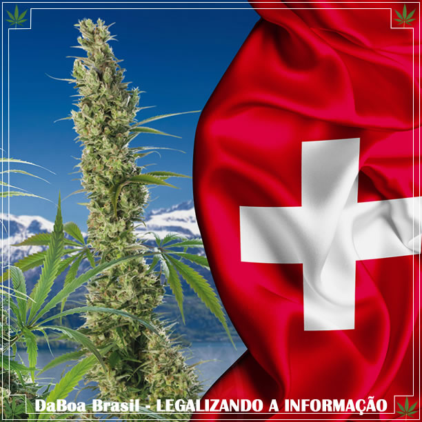 Suíça quer legalizar a maconha medicinal