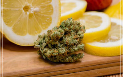 Terpenos da maconha: limoneno – um terpeno medicinal, recreativo e delicioso