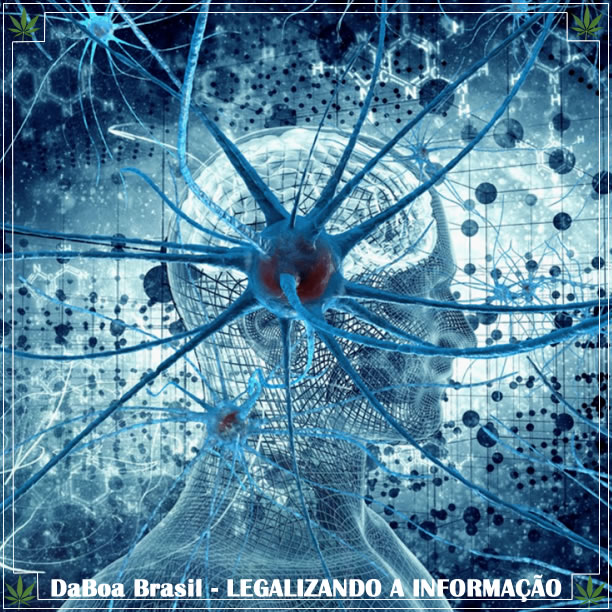 Uso de maconha alivia sintomas e reduz medicamentos em pacientes com esclerose múltipla