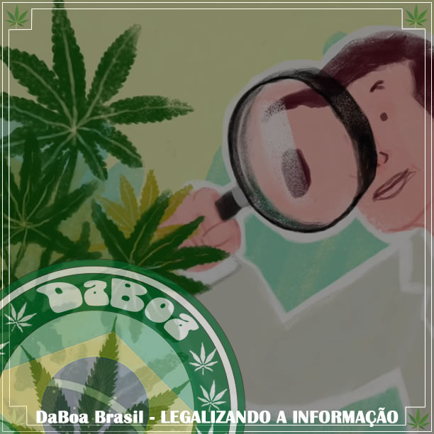 Vídeo mostra como funciona o Sistema Endocanabinóide de forma simples