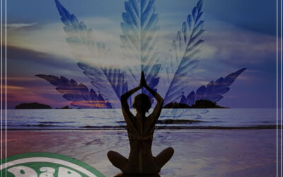 A maconha e a Yoga se uniram em um retiro nas Montanhas Rochosas