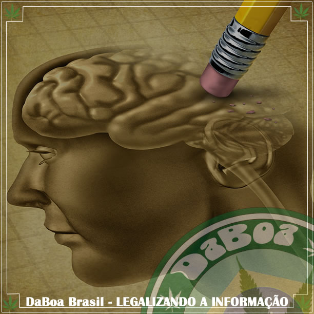 Cientistas descobrem que a maconha mostra eficácia contra o Alzheimer