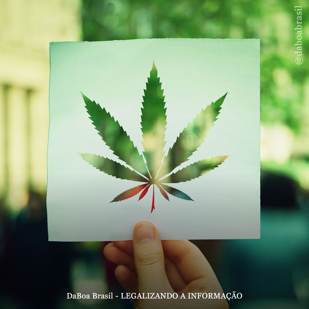 Algumas das principais razões para legalizar a maconha