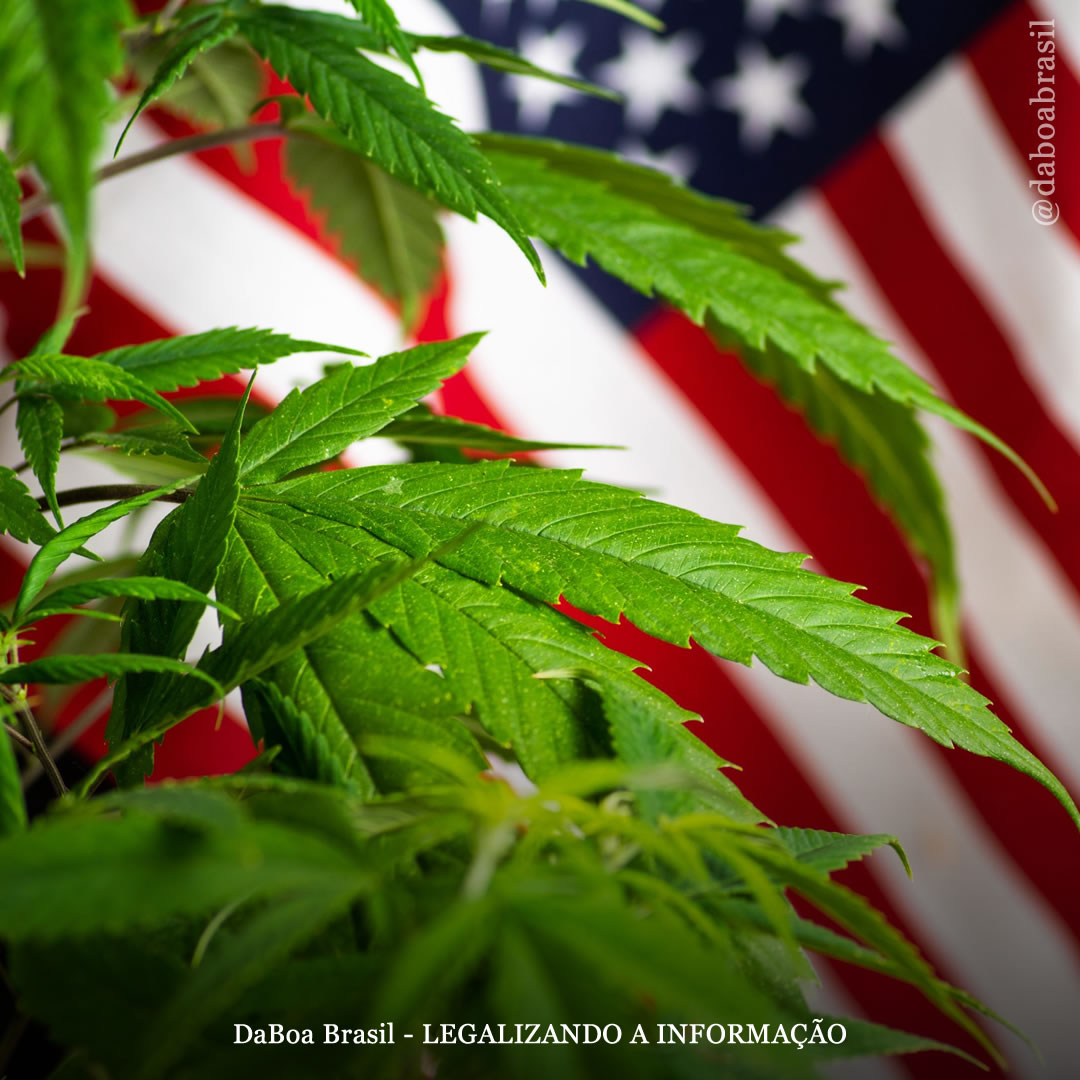 Câmara dos EUA adia votação da legalização da maconha em nível federal