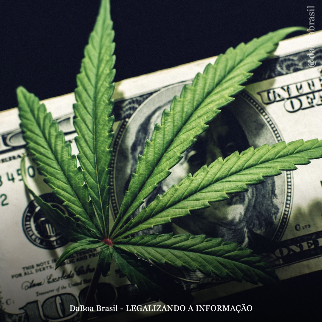 Colorado bate novo recorde de vendas de maconha