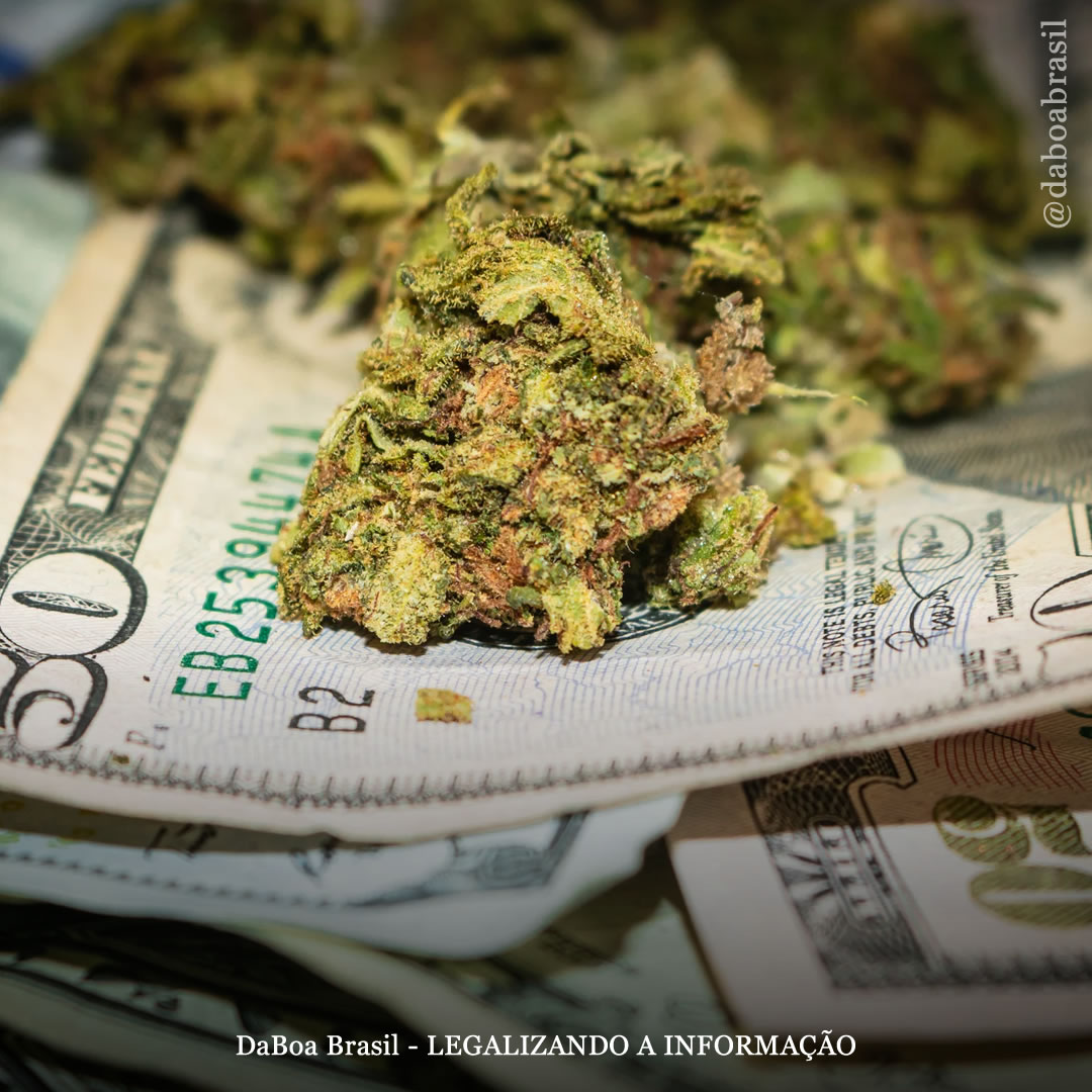 Colorado faturou US $ 192 milhões em vendas legais de maconha em maio