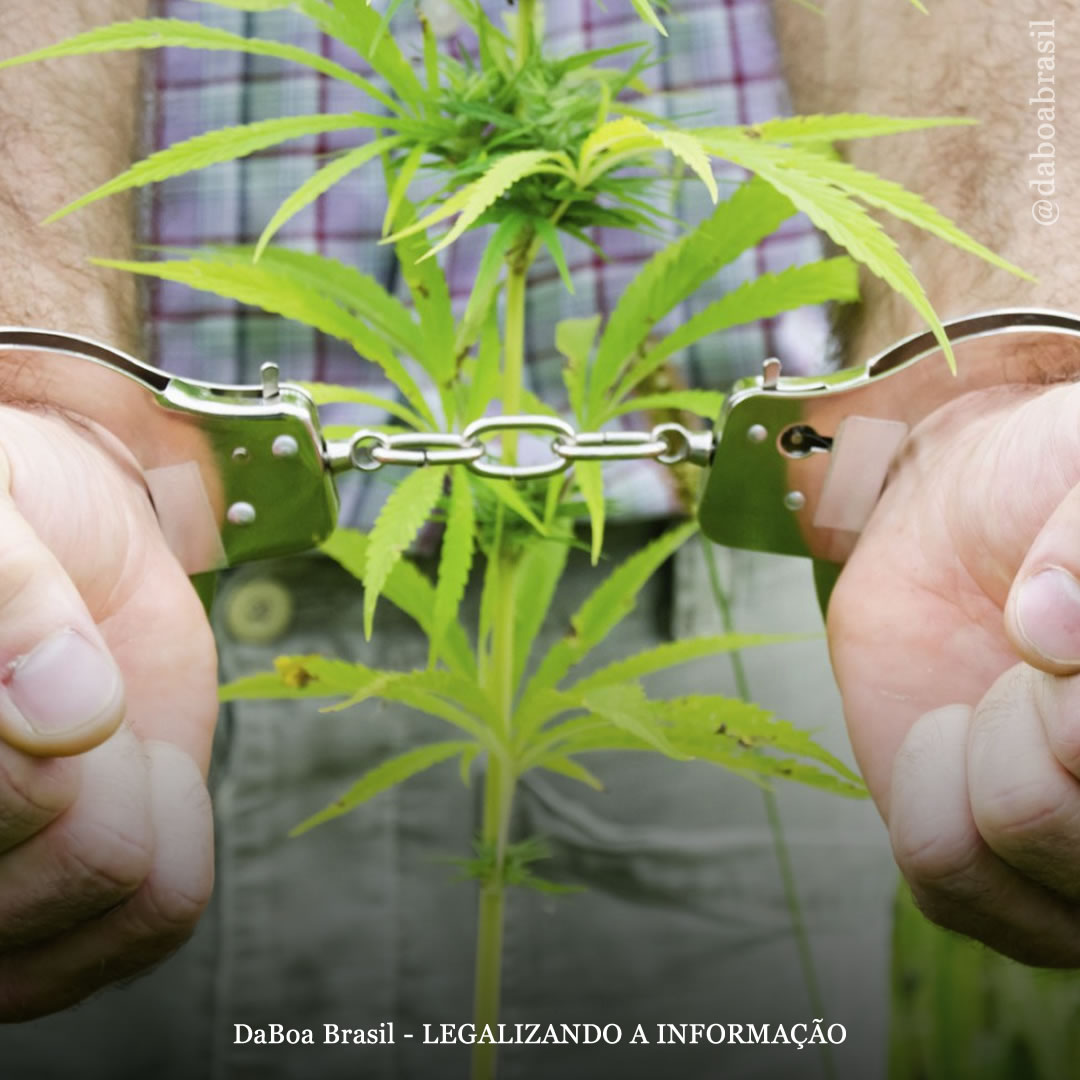 Colorado perdoa milhares de condenações por maconha