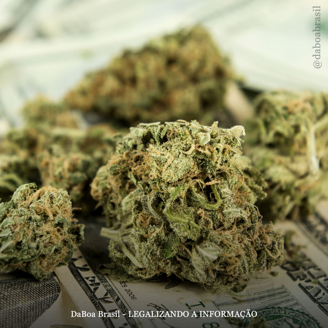 Colorado vendeu mais de US $ 1 bilhão em maconha legal desde o início da pandemia