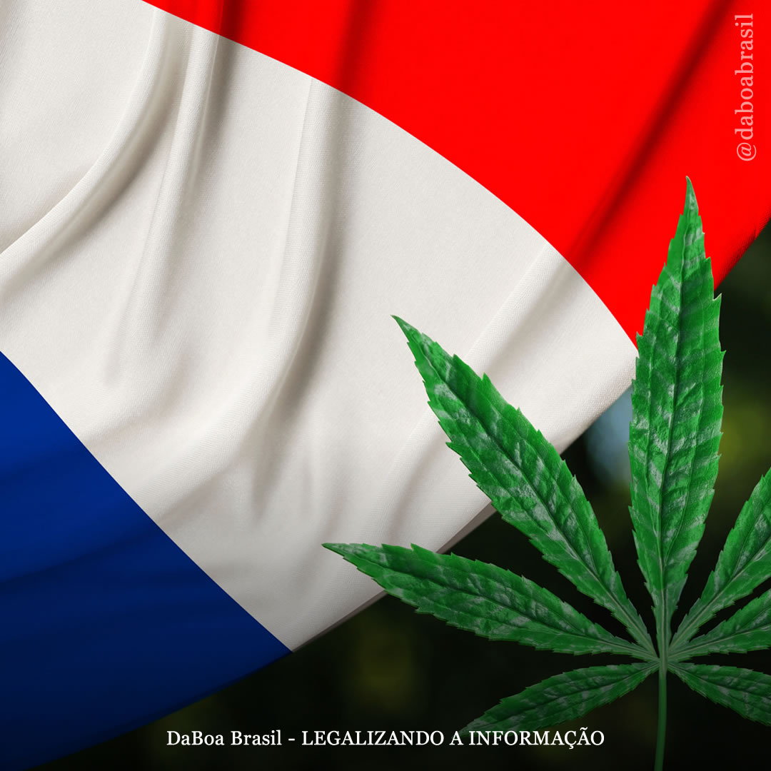 Comitê na França pressiona pela legalização da maconha