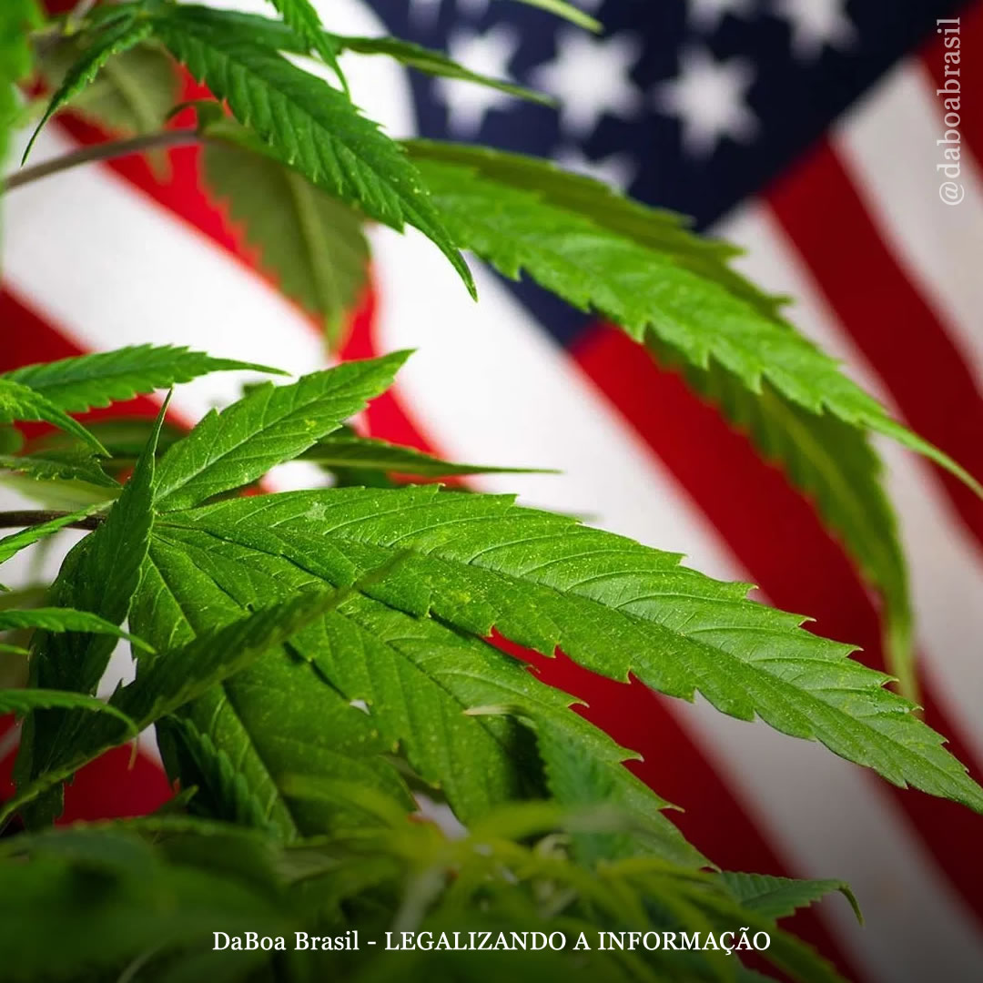 Congresso dos EUA planeja votar a legalização federal da maconha em setembro