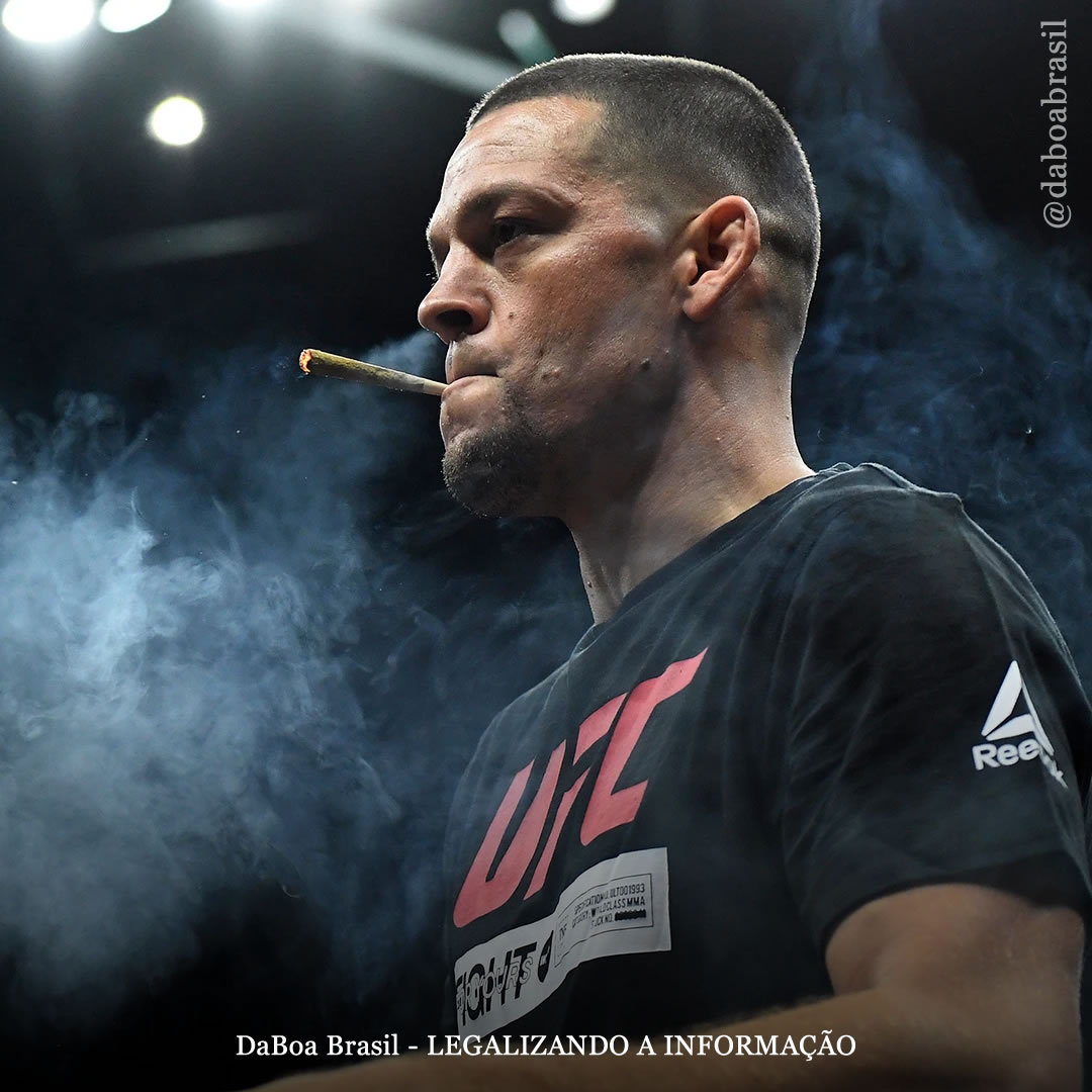 Fãs de MMA e E-Sports consomem mais maconha do que fãs de outros esportes