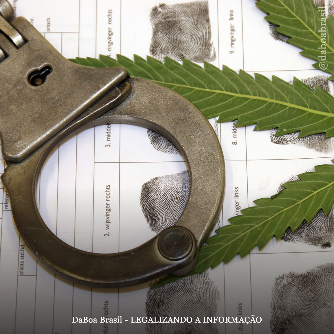 Ideia Legislativa: Anistiar todos presos condenados por cultivar maconha e regulamentar a venda na periferia