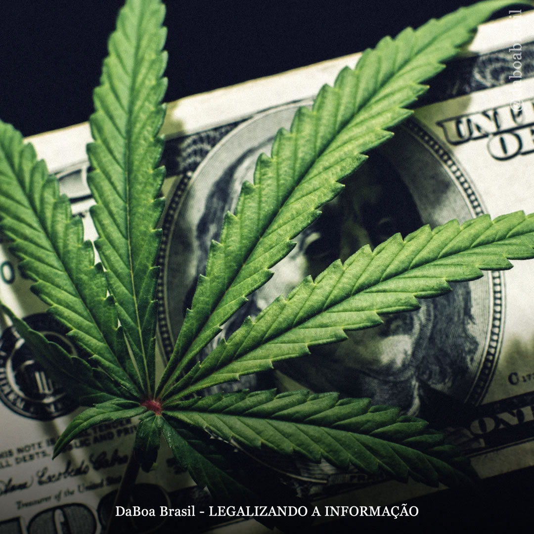 Illinois bate novo recorde de vendas de maconha em junho