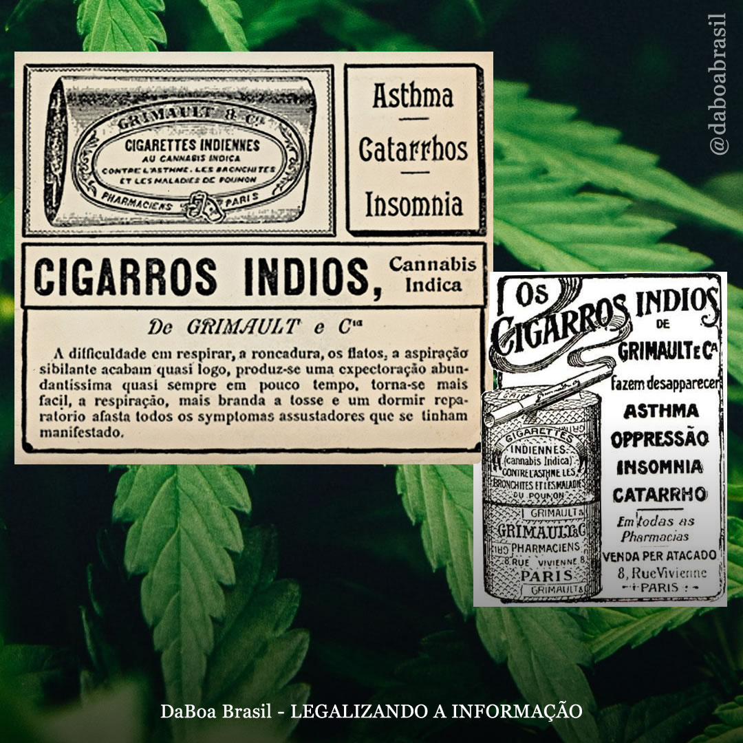 Maconha: dos discursos médicos do início do século XX até sua criminalização na década de 30