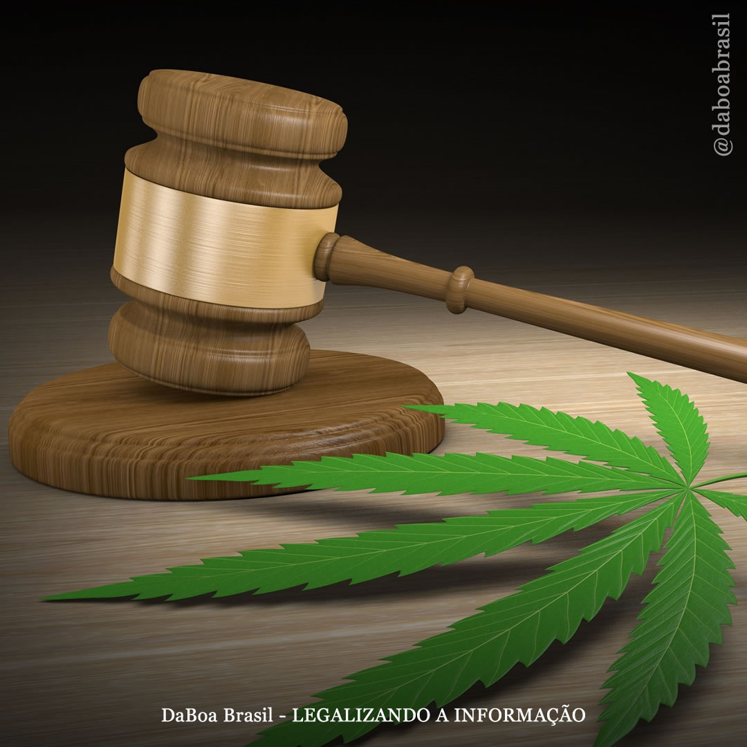 Michigan pode ser o próximo estado dos EUA a eliminar condenações por maconha