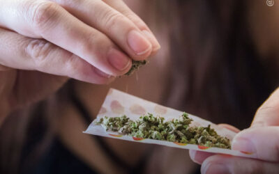 Mulheres que usam maconha frequentemente sentem mais satisfação sexual, diz estudo