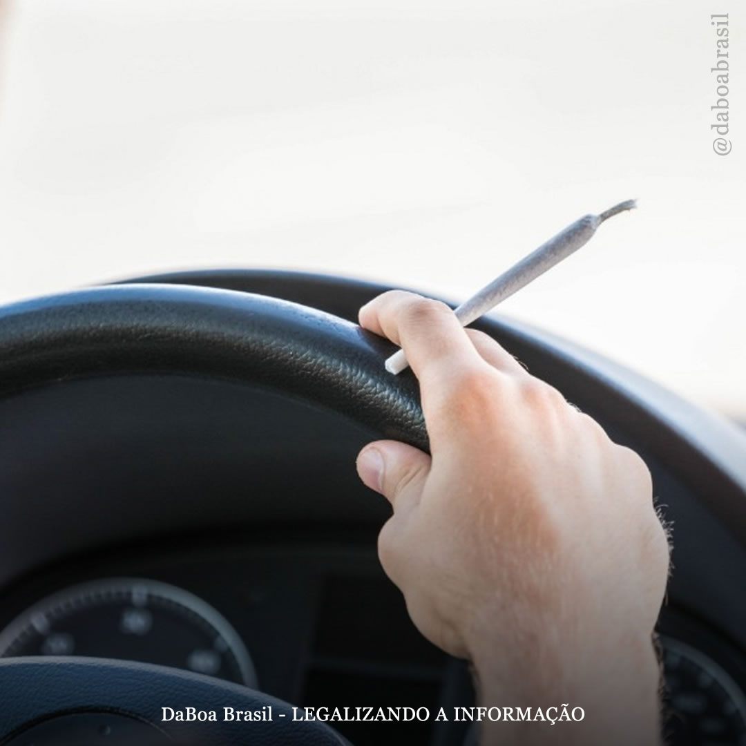 Não há nenhuma ligação entre a legalização da maconha e acidentes fatais no trânsito, diz estudo